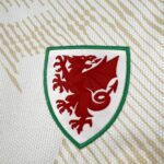 2026 Wales World Cup Away Football jersey Fan edition - Image 5