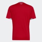 Adidas Wales Home Jersey 2026 - Image 2